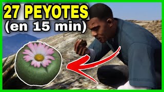 ✔️Donde encontrar TODOS los 27 PEYOTES en GTA 5  Ubicación de las plantes de PEYOTE en GTA V [upl. by Ahsuatal684]