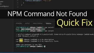 NPM Command Not Found  NodeJS Quick Fix [upl. by Ahsiekram]