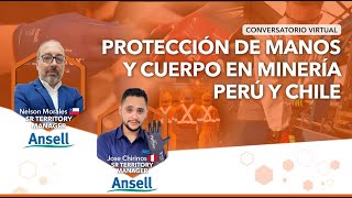 Conversatorio Protección de Manos y Cuerpo en Minería Perú y Chile [upl. by Coit]