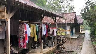 Heavy Wind and Lightning Rain in Wanareja Village  Walking in Rural Indonesia  ASMR Rain Videos [upl. by Ytrebil58]