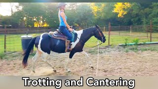 Trotting and Canter lesson  Western Horsemanship adult beginner [upl. by Iny]