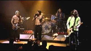 Red Hot Chili Peppers  By the Way  Live at Olympia Paris [upl. by Yvel572]