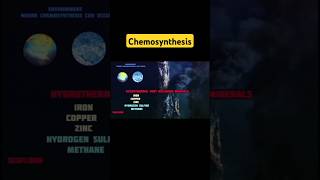 How Chemosynthesis Works and Why It Matters [upl. by Magdalene]