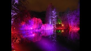 ⭐️Winterlichter⭐️im Frankfurter Palmengarten⭐️Januar 2019⭐️Vlog⭐️ [upl. by Baird481]