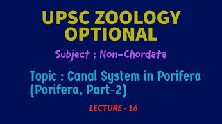 UPSC ZOOLOGY  NonChordata L16  Canal System in Porifera Porifera Part2  IAS  IFS  Dr RK [upl. by Issor]