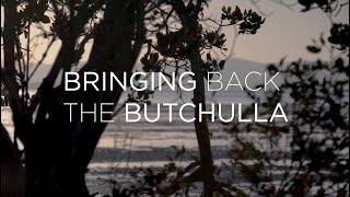 BRINGING BACK THE BUTCHULLA [upl. by Terrence]