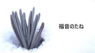 【キリストの足跡】056狭い門から入れ？ [upl. by Amado718]