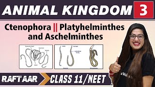 Animal Kingdom 03  Ctenophora II Platyhelminthes and Aschelminthes  Class 11NEET  RAFTAAR [upl. by Egbert]