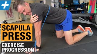 Scapula Press Exercise Progression for Serratus Anterior and Winging  Tim Keeley  Physio REHAB [upl. by Aindrea]