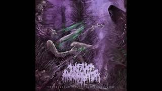 Infant Annihilator Baptised Bastardised SodomisedInstrumental [upl. by Nedak]