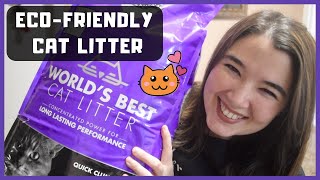 TRYING OUT WORLDS BEST CAT LITTER  FLUSHABLE CAT LITTER [upl. by Aicarg]