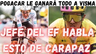 JEFE DEL EF FUE DIRECTO CON CARAPAZ Y QUIEREN IR POR EL TOUR DE FRANCIAPOGACAR GANARA TODO CON ESTO [upl. by Burgwell]