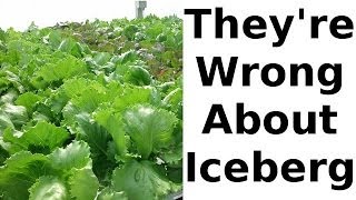 The Iceberg Lettuce Nutrition Myth [upl. by Donetta43]