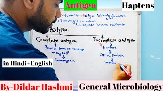 AntigenIncomplete Antigen Haptens [upl. by Childs436]