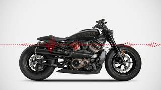 Harley Davidson Sportster S 1250 with Zard Exhaust Top Gun [upl. by Noedig]