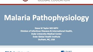 Malaria Pathophysiology by Steve Taylor Duke Global Health Institute [upl. by Nate530]