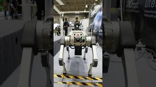 From Industrial Giants to Humanoid Helpers Highlights of ICRA 2024  Technology news  Pro robots [upl. by Aleahs836]