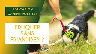 5 ÉDUCATION CANINE POSITIVE  Éduquer sans friandises [upl. by Tory]