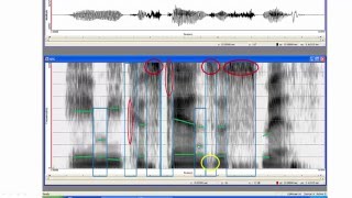 Step by step through a spectrogram [upl. by Buford810]