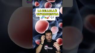 microarray video completo nel canale dnacellula biologiabiotecnologia genetica biochimica [upl. by Egiedan]