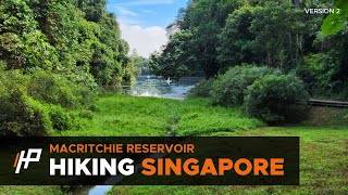 Hiking Singapore MacRitchie Reservoir [upl. by Vaasta878]