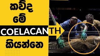 මෙලොව වාසය කරන පැරණිම ජීවියා The Oldest Living Creature Coelacanth in sinhala  DrBrain [upl. by Anilorak639]