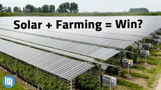 Solar Panels Plus Farming Agrivoltaics Explained [upl. by Madai]