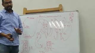 How to read Echocardiography report Dr Mahmoud Abu Dief [upl. by Ayotol]