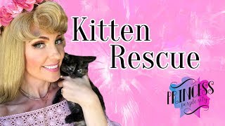 Disney Princess Adventure  Kitten Rescue [upl. by Novaat]