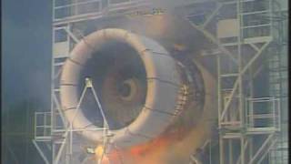 Bird Strike Jet Engine Test [upl. by Tiffie]