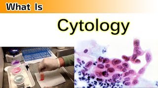 What is Cytology   Clear amp Complete Overview [upl. by Enitsuga]