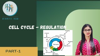 Cell Cycle Regulation part1 Biomics Hub [upl. by Laitselec660]