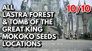 All Lastra Forest amp Tomb of the Great King Mokoko Seeds Locations  Lost Ark [upl. by Auqemahs]