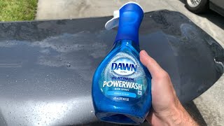 Dawn Powerwash Strip Wash Test vs Zymol Carbon Wax [upl. by Hartfield]