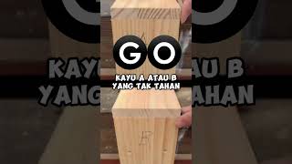 Kayu A atau Kayu B yang tahan experiment kayu ini Jom teka dalam komen jangan main tipu ya [upl. by Kehoe]