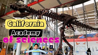 FIRST TIME VISITING THE CALIFORNIA ACADEMY OF SCIENCES MUSEUM IN SAN FRANCISCO [upl. by Nyral768]