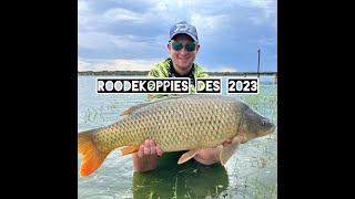 Roodekoppies Dec 2023  Monster Carp Session [upl. by Byrd879]