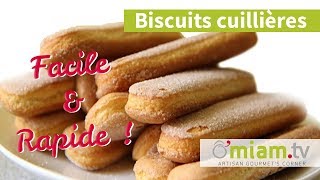 BISCUITS CUILLÈRES FACILE amp RAPIDE  Un délice très simple à réaliser [upl. by Otrebide126]