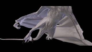 Durian Project Dragon Wing Simulation Example [upl. by Aivital649]