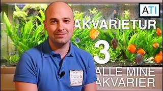 Akvarietur 3  Alle mine akvarier [upl. by Rafaelof927]