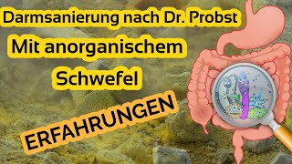 Darmsanierung nach Dr Probst mit anorganischem Schwefel  Erfahrungen [upl. by Attesoj77]