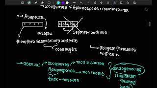 learn complete phycomycetes in 15 minutes [upl. by Ahouh]