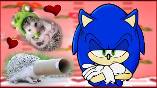 If Sonic The Hedgehog was in a Cute Hedgehogs Compilation Video [upl. by Perlis]