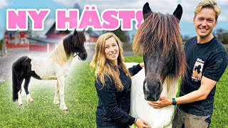 Vi har köpt ny häst 🐴 [upl. by Attiuqahs]