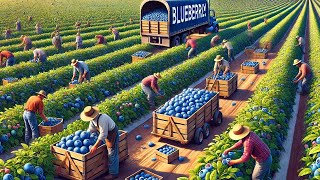 Agricultores Americanos Estão Colhendo Milhões De Toneladas De Produtos Agrícolas Da Safra De 2024 [upl. by Selina447]