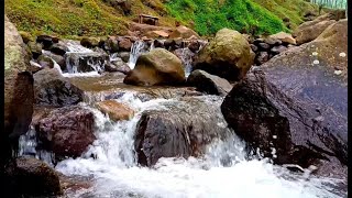 ASMR River Therapy Blissful Water Sounds to Melt Away Stress and Anxiety  LuLu Sounds [upl. by Hoseia]