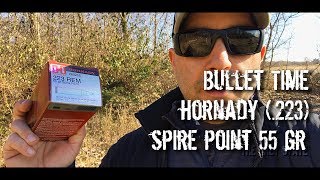 Bullet Time  Hornady Spire Point 55 gr 223 Chronographed [upl. by Allred]