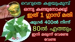 അറിയാതെ പോവല്ലേ ഇനി മരുന്നു കഴിക്കേണ്ട വെറും രണ്ടില മതി ഷുഗർ പ്രഷർ കൊളസ്ട്രോൾ ഇനി അടുക്കില്ല Uses [upl. by Aleirbag]