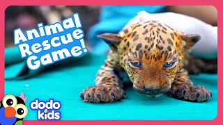 Can YOU Help These Animal Moms Rescue Their Babies  Dodo Kids  Story Game [upl. by Sello287]