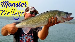 HUGE Walleye caught on Lake Diefenbaker [upl. by Neerehs]